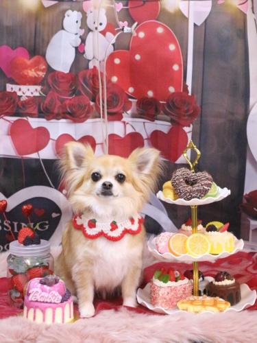 20250220りるちゃん